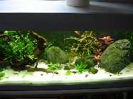 - 75 l Becken rechte Seite - 16.02.2013.jpg