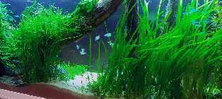 20130312_191017.jpg