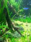 20130312_192739.jpg
