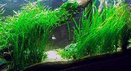 20130312_192847.jpg