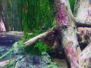 20130315_180353.jpg