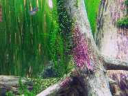 20130315_180402.jpg