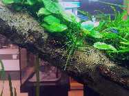 20130315_180428.jpg