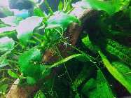 20130315_180502.jpg