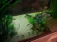 20130315_184605.jpg