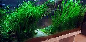 20130315_184630_2.jpg