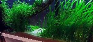 20130315_184647_2.jpg