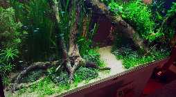 20130315_184732_2.jpg