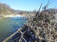 20130316_100518.jpg