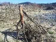 20130316_100956.jpg
