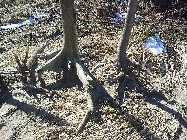 20130316_115048.jpg