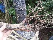 20130317_111434.jpg