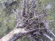 20130317_113506.jpg