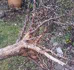 20130317_115012.jpg