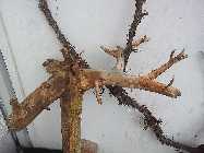 20130317_115426.jpg