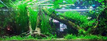 20130326_193018.jpg