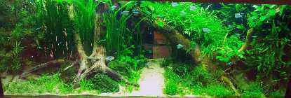 20130326_193001.jpg