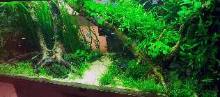 20130326_192941.jpg