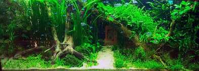 20130326_192915.jpg