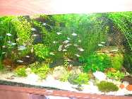 aq 240 l 2013 april 001.jpg