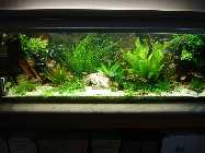 375 l Becken 27.04.2013.jpg