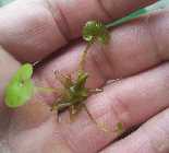 20130428_083009.jpg