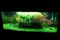 28.06.08 300 liter 001_(800_x_600).jpg