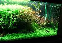 28.06.08 300 liter 009_(800_x_600).jpg