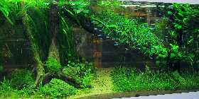 IMG_2415.jpg