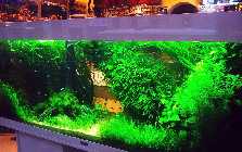 20131116_160638.jpg
