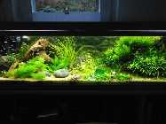linke Seite 75 l Becken 8.12.13.jpg