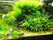 rechte Seite 8.12.13 - 75 l Becken.jpg