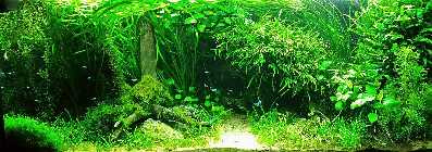 20131221_210736.jpg