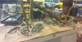 20130222_183625_2.jpg