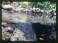 comp_Neuaufsatz WITHOUT SUNSHADE 2014 441.jpg