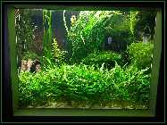 comp_Neuaufsatz WITHOUT SUNSHADE 2014 444.jpg