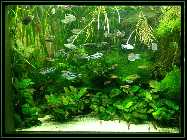 comp_Neuaufsatz WITHOUT SUNSHADE 2014 452.jpg