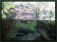 comp_Neuaufsatz WITHOUT SUNSHADE 2014 449.jpg