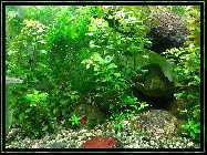 comp_Neuaufsatz WITHOUT SUNSHADE 2014 461.jpg