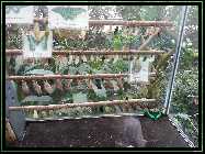 comp_Neuaufsatz WITHOUT SUNSHADE 2014 513.jpg