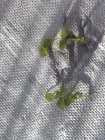 IMG_20140112_133600.jpg