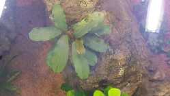 20140128_181414.jpg