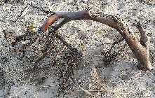 20140227_163044.jpg