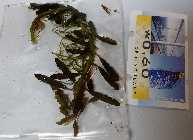 20140304_181916.jpg