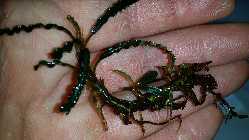 20140318_225019.jpg