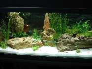 DSC02431.jpg