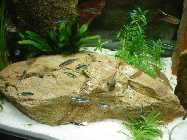 DSC02426.jpg