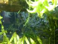 DSCN1695.jpg