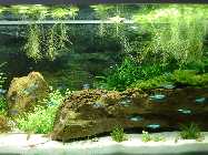 DSC02458.jpg