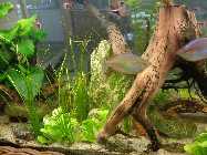 aquarium 3.6.2014 014.jpg